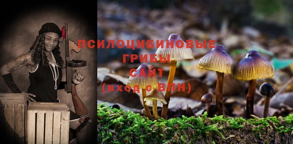 скорость Сафоново
