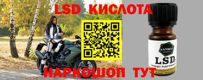винт Берёзовский