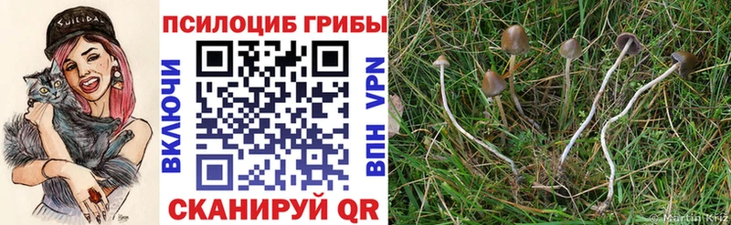 Галлюциногенные грибы Magic Shrooms Балахна
