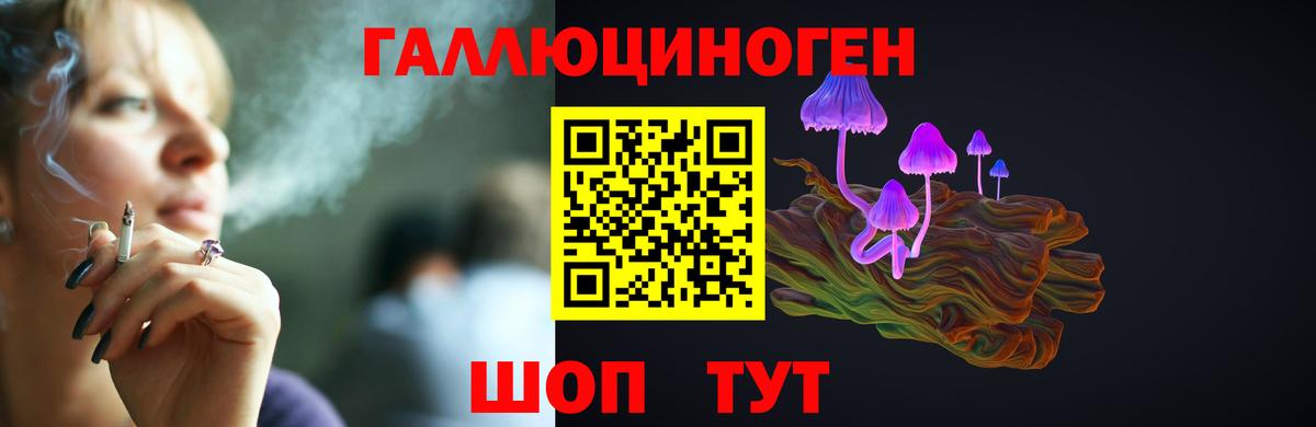 Псилоцибиновые грибы GOLDEN TEACHER  Псилоцибиновые грибы Psilocybine cubensis  закладки  Балахна  Вход с VPN 